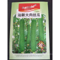 Green long  hybrid luffa sponge gourd seeds